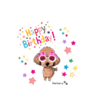 トイプードルのホタルくん（個別スタンプ：21）