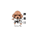 トイプードルのホタルくん（個別スタンプ：24）