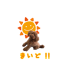トイプードルのホタルくん（個別スタンプ：25）