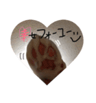 もずく家のニャンズ（個別スタンプ：22）