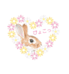 うさぎ リアル rirapiripaku2（個別スタンプ：28）