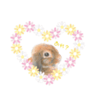 うさぎ リアル rirapiripaku2（個別スタンプ：29）