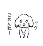 可愛いチワプーの黒丸ちゃん！イラスト版（個別スタンプ：1）