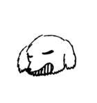 可愛いチワプーの黒丸ちゃん！イラスト版（個別スタンプ：10）