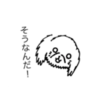 可愛いチワプーの黒丸ちゃん！イラスト版（個別スタンプ：12）
