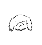 可愛いチワプーの黒丸ちゃん！イラスト版（個別スタンプ：13）