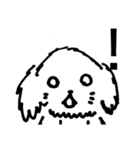 可愛いチワプーの黒丸ちゃん！イラスト版（個別スタンプ：15）