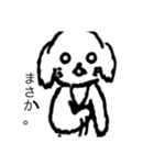可愛いチワプーの黒丸ちゃん！イラスト版（個別スタンプ：16）