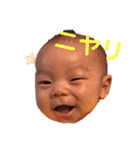 ちびぼーちゃん( ・∇・)③（個別スタンプ：5）