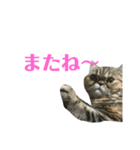エキゾのミーナ（個別スタンプ：6）