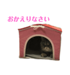 エキゾのミーナ（個別スタンプ：8）