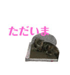 エキゾのミーナ（個別スタンプ：9）