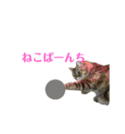 エキゾのミーナ（個別スタンプ：18）