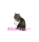 エキゾのミーナ（個別スタンプ：21）