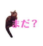 エキゾのミーナ（個別スタンプ：35）