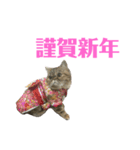 エキゾのミーナ（個別スタンプ：38）