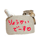 むぎさん(*´ω｀*)（個別スタンプ：1）