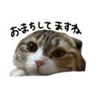 むぎさん(*´ω｀*)（個別スタンプ：3）
