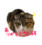 むぎさん(*´ω｀*)（個別スタンプ：6）
