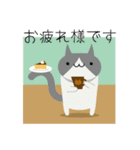 カラフルねこ＊日常会話＊（個別スタンプ：4）