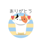カラフルねこ＊日常会話＊（個別スタンプ：7）