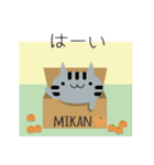 カラフルねこ＊日常会話＊（個別スタンプ：11）
