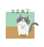 カラフルねこ＊日常会話＊（個別スタンプ：36）
