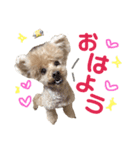 ぼくです。むーちゃんです。（個別スタンプ：2）