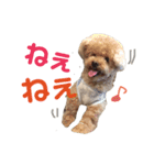 ぼくです。むーちゃんです。（個別スタンプ：6）