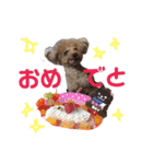 ぼくです。むーちゃんです。（個別スタンプ：7）