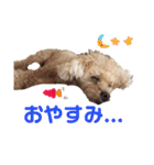 ぼくです。むーちゃんです。（個別スタンプ：10）