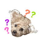 ぼくです。むーちゃんです。（個別スタンプ：11）