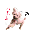 ぼくです。むーちゃんです。（個別スタンプ：14）