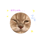 ラガマフィンのたまちくん（個別スタンプ：4）