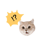ラガマフィンのたまちくん（個別スタンプ：5）