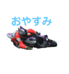 OKTM小僧（個別スタンプ：10）