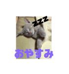 もなかの中身はつぶあん（個別スタンプ：1）