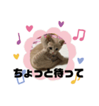 もなかの中身はつぶあん（個別スタンプ：6）