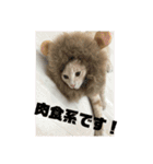もなかの中身はつぶあん（個別スタンプ：9）