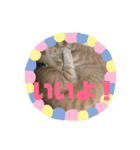 もなかの中身はつぶあん（個別スタンプ：12）