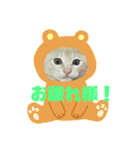 もなかの中身はつぶあん（個別スタンプ：19）