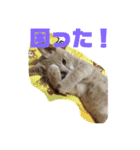 もなかの中身はつぶあん（個別スタンプ：21）