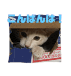 もなかの中身はつぶあん（個別スタンプ：24）