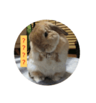 あいさつもか（個別スタンプ：3）