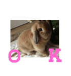 あいさつもか（個別スタンプ：8）