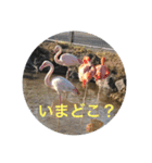 ぺんぺんのスタンプ（個別スタンプ：1）
