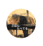 ぺんぺんのスタンプ（個別スタンプ：3）