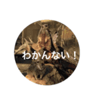 ぺんぺんのスタンプ（個別スタンプ：4）