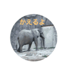 ぺんぺんのスタンプ（個別スタンプ：10）