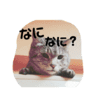 とくちゃんず（個別スタンプ：7）